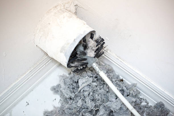 Best Air Duct Cleaning Near Me  in Princeville, HI